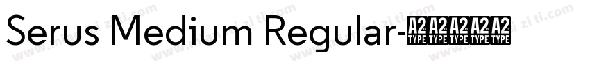 Serus Medium Regular字体转换